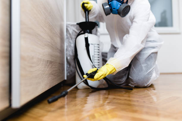 Best Flea Control Services  in Lake Park, NC