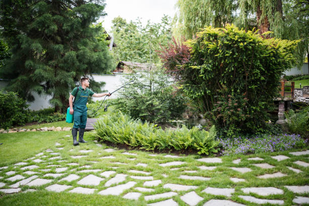 Best Ant Control Services  in Lake Park, NC