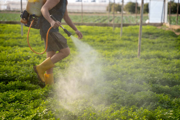 Best Best Pest Control Companies  in Lake Park, NC