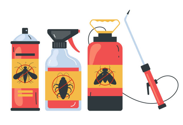 Best Insect Control  in Lake Park, NC