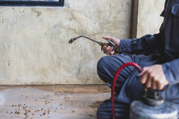 Best Pest Control for Businesses  in Lake Park, NC